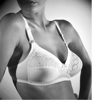 REGGISENO GIOS ART. 301